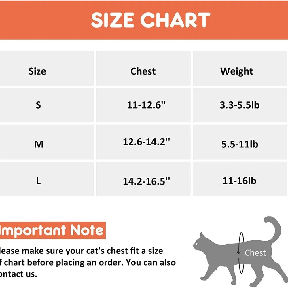 Kitten harnesses and leash set